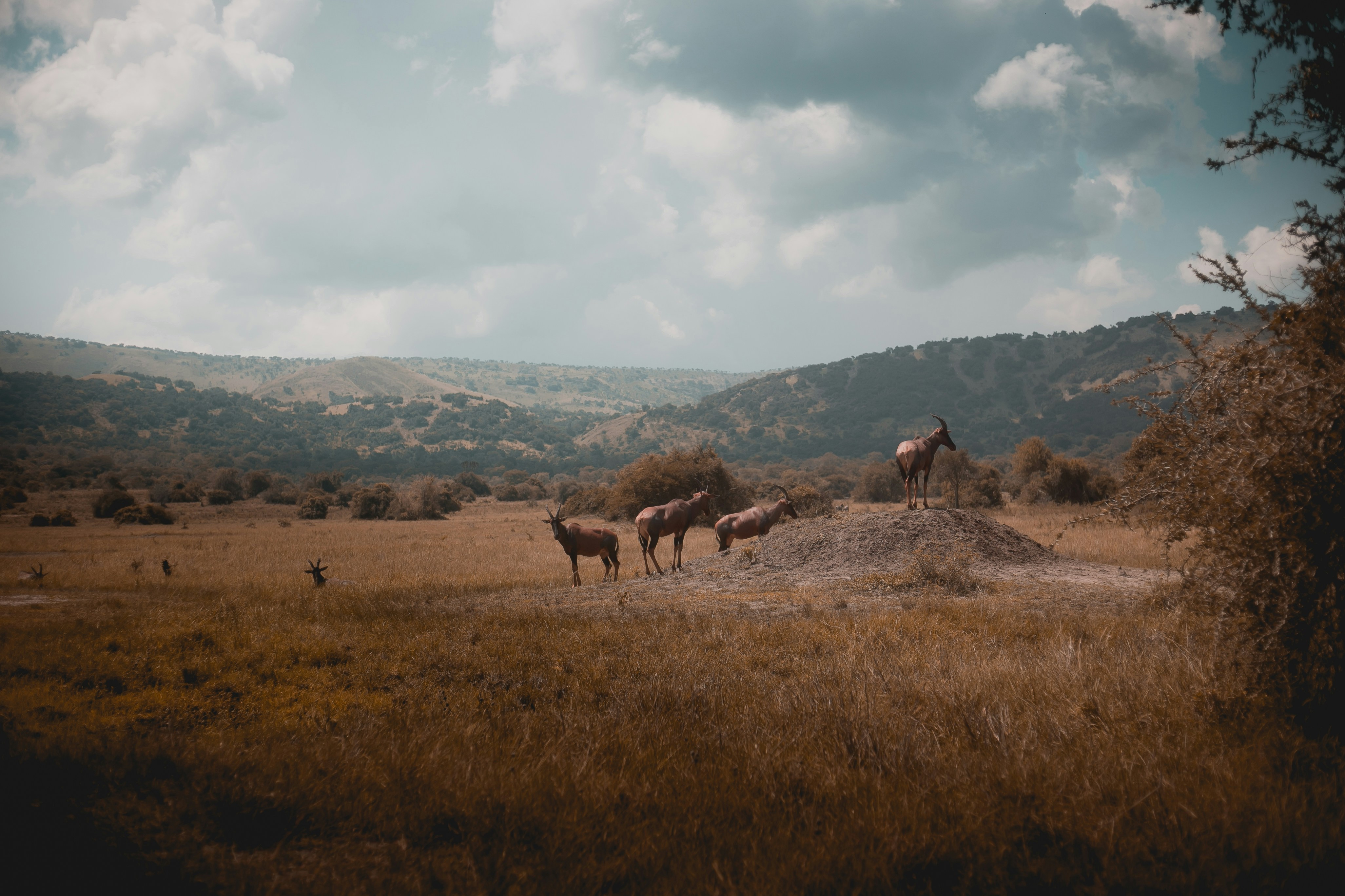 National Park
